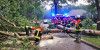 Gewitter brachte Einsätze für die Feuerwehren im Landkreis Harburg