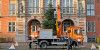 Rathausplatz: Harburgs Weihnachtsbaum bekam seine Beleuchtung