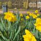 Frühlingswetter lockt die Menschen in Harburg Stadt & Land in die Natur
