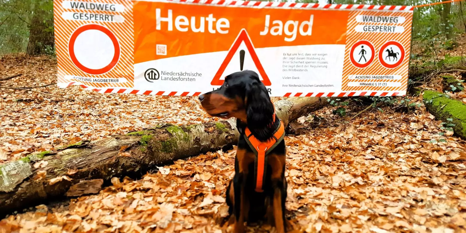 An den Waldeingängen weisen Warnbanner auf den laufenden Jagdbetrieb hin.  Foto: Niedersächsische Landesforsten