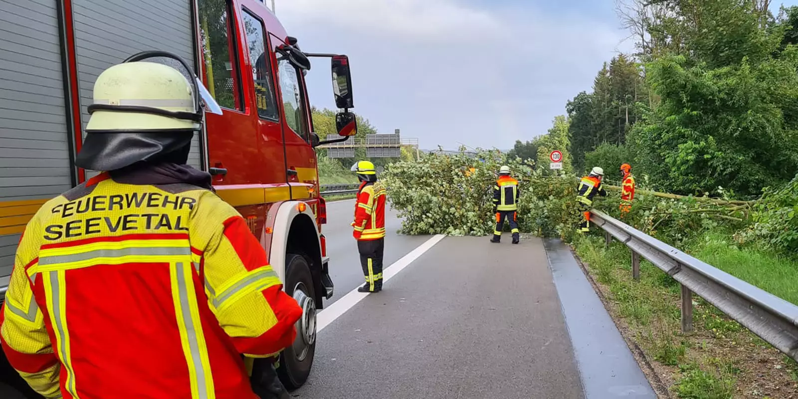 Einsatzkräfte aus Fleestedt an dem umgestürzten Baum auf der A7. Foto: Feuerwehr