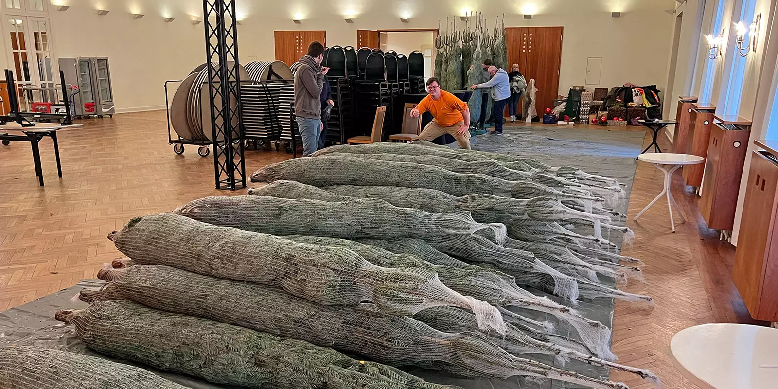 Angelieferte Bäume im großén Festsaal, die geschmückt werden müssen. Foto: zv