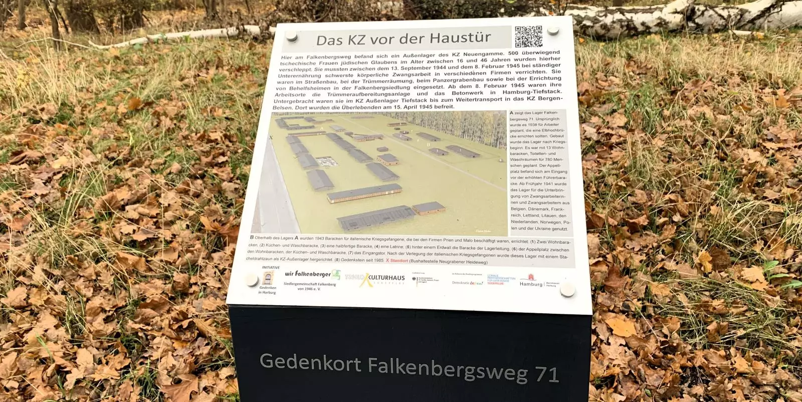 Die Informationstafel am Falkenbergsweg. Foto: Christian Bittcher