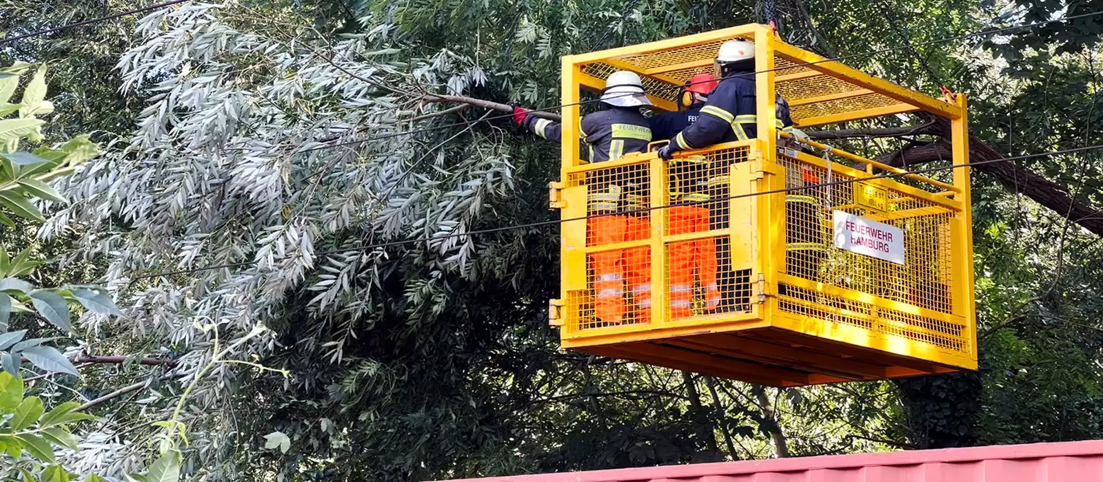 Feuerwehrleute beseitigen den abgeknickten Ast. Foto: zv