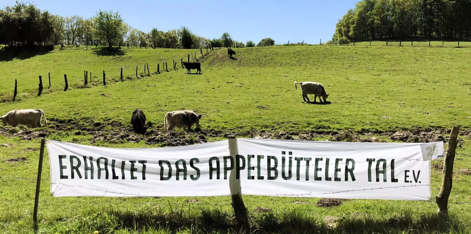 Der Verein Erhaltet das Appelbütteler Tal feiert am Sonnabend sein 30-jähriges Bestehen. Foto: privat