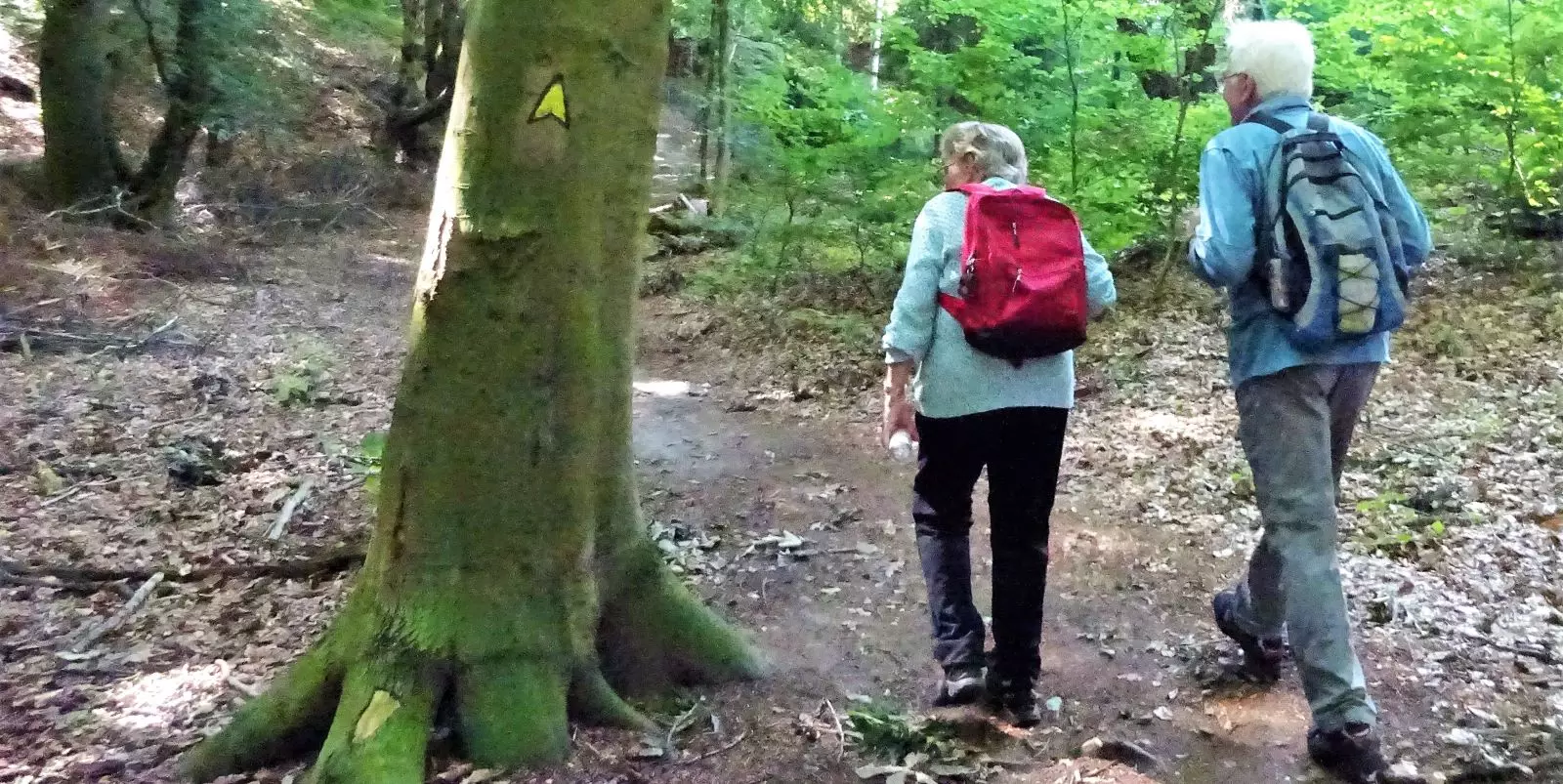 Der Wegemarkierer der Wanderfreunde Hamburg, Erich Svensson, hat jetzt den Weg im Eißendorfer Forst, der von Appelbüttel zum Kiekeberg führt, an einer "kitzligen" Stelle entschärft. Foto: privat