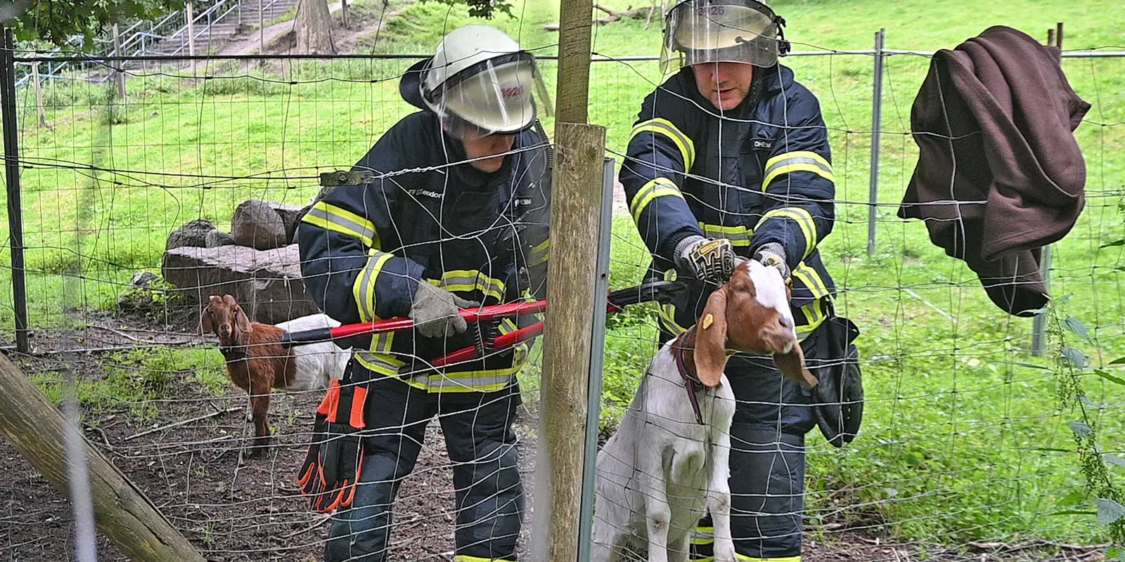 Feuerwehrmänner befreien die Ziege. Foto: Lenthe-Medien