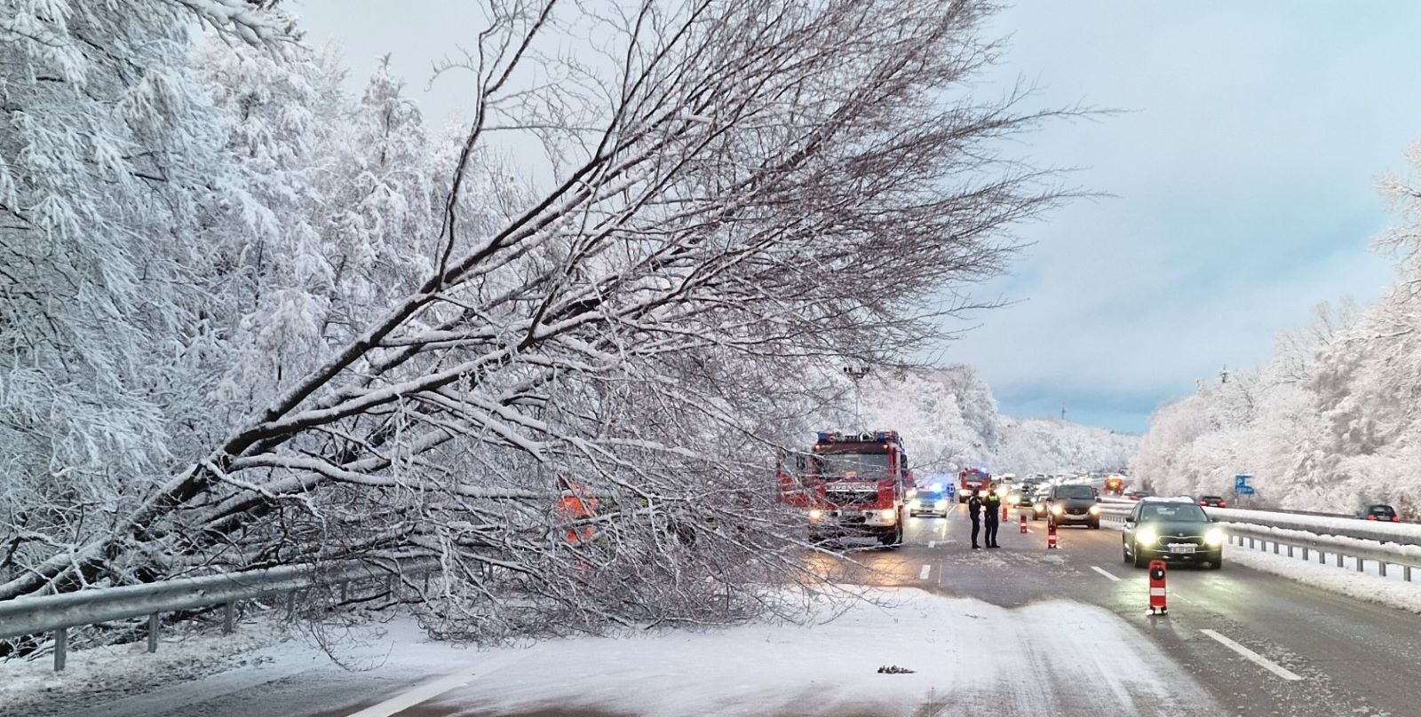 Vollsperrung der A7 bei Garlstorf: Ein umgestürzter Baum blockierte zwei Fahrstreifen.  Foto: Mathias Wille, KPW Harburg
