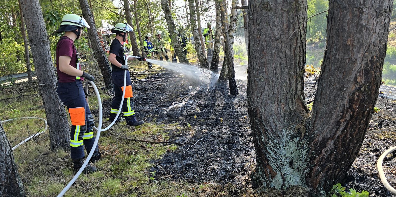 Bahnböschungsbrand in Stelle: Feuerwehren verhindern Ausbreitung