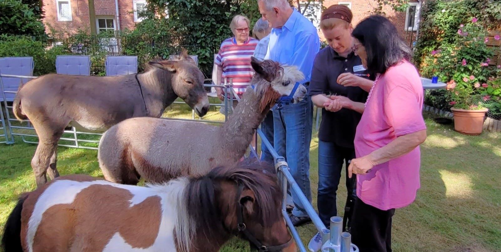 „Streichelzoo vor Ort“: Die Tagesgäste genossen es. Foto: DRK Harburg