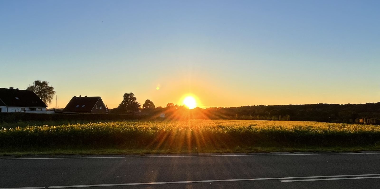 Am Dienstagabend gab es vor den Toren Harburgs bei Ehestorf einen traumhaften Sonnenuntergang. Foto: Christian Bittcher