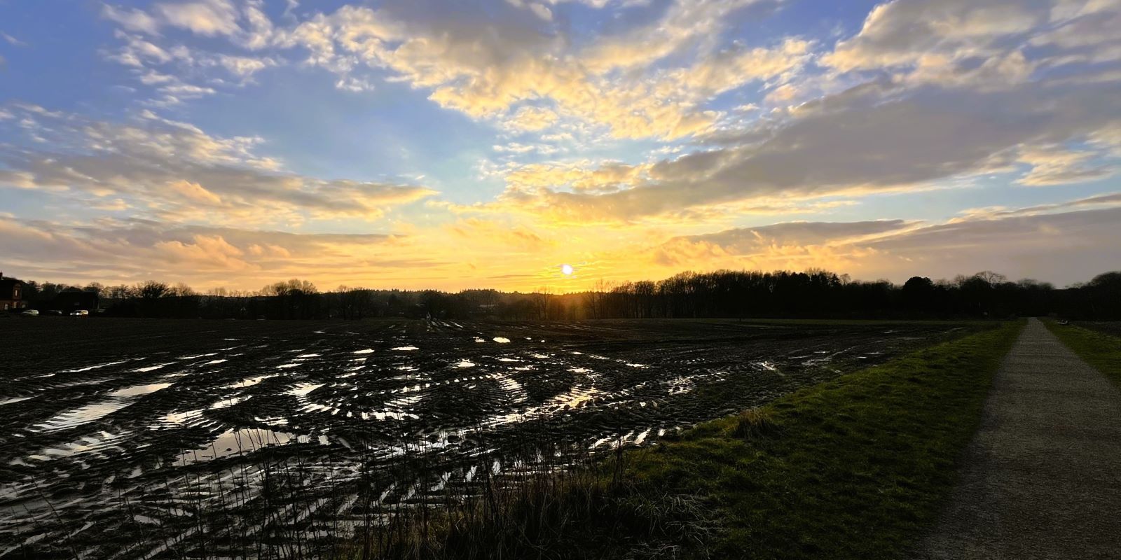 Seltener Anblick: Über den matschigen Feldern in Ehestorf zeigte sich Montagabend die Sonne. Foto: Christian Bittcher