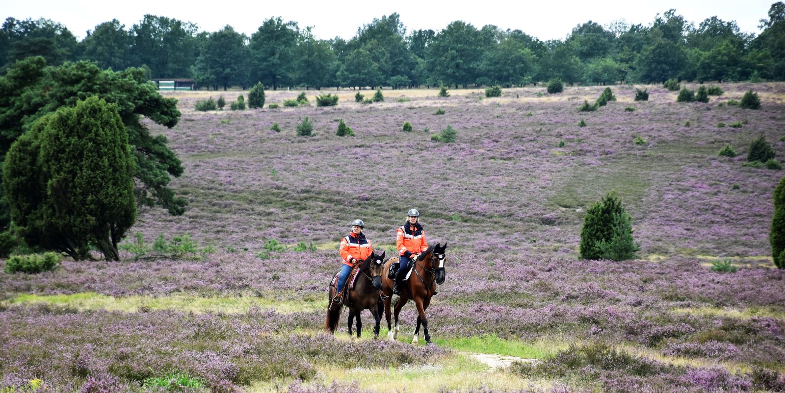 Einsatz in der Lüneburger Heide: Die Johanniter-Reiterstaffel aus dem Regionalverband Harburg besteht aus 18 ehrenamtlichen Reitern und 15 privaten Einsatzpferden. Foto: Johanniter